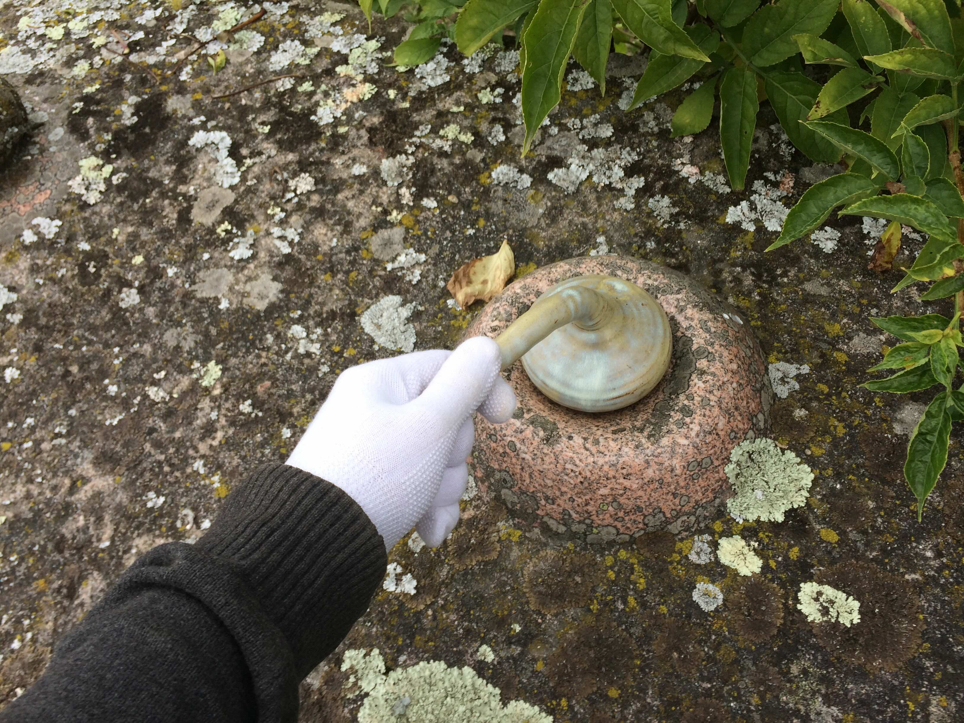 Description of image 31